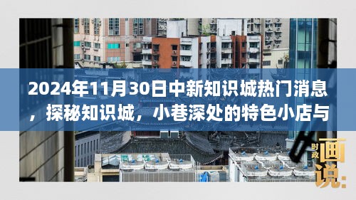 揭秘中新知识城，小巷特色小店与2024年11月30日的惊喜