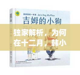 独家解析，十二月韩小圈热门韩剧踪迹难寻的原因