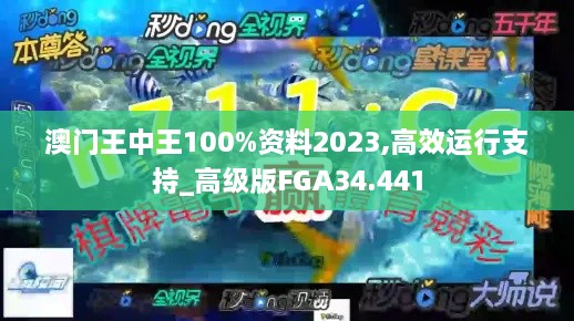 澳门王中王100%资料2023,高效运行支持_高级版FGA34.441