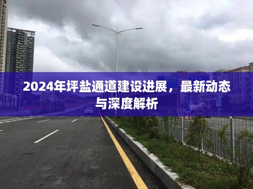 2024年坪盐通道建设进展深度解析及最新动态