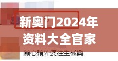 新奥门2024年资料大全官家婆,决策信息解释_VR版JKN29.124