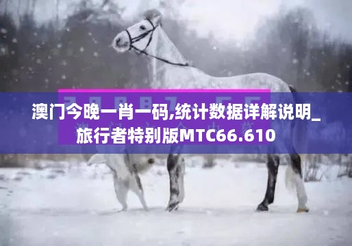 澳门今晚一肖一码,统计数据详解说明_旅行者特别版MTC66.610