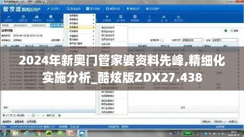 2024年新奥门管家婆资料先峰,精细化实施分析_酷炫版ZDX27.438