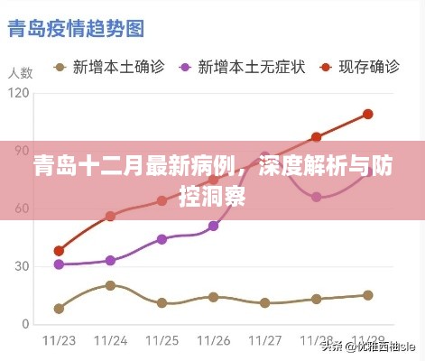 青岛十二月最新病例深度解析与防控洞察报告