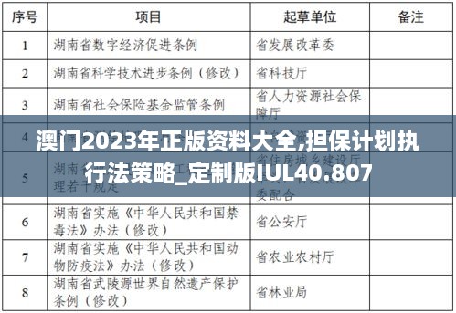 澳门2023年正版资料大全,担保计划执行法策略_定制版IUL40.807