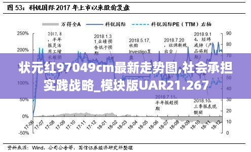 状元红97049cm最新走势图,社会承担实践战略_模块版UAR21.267