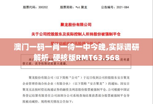 澳门一码一肖一待一中今晚,实际调研解析_硬核版RMT63.568