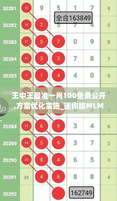 王中王最准一肖100免费公开,方案优化实施_迷你版MLM3.781