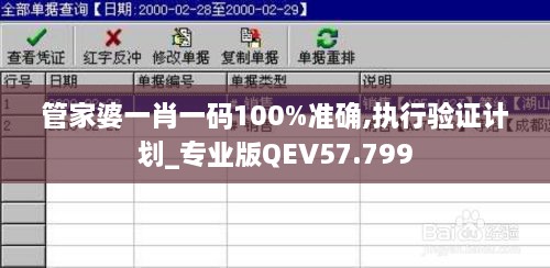 管家婆一肖一码100%准确,执行验证计划_专业版QEV57.799