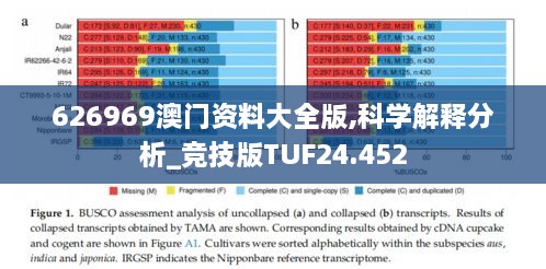 626969澳门资料大全版,科学解释分析_竞技版TUF24.452