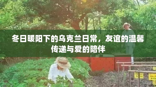 冬日暖阳下的乌克兰，友谊与爱在日常中的温馨传递