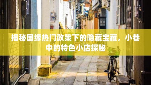 国缘热门政策下的隐藏宝藏，小巷特色小店探秘之旅