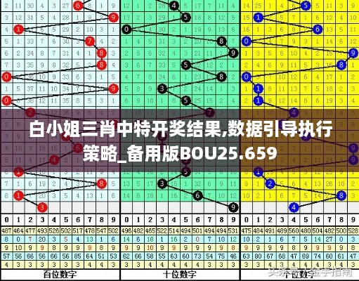 白小姐三肖中特开奖结果,数据引导执行策略_备用版BOU25.659