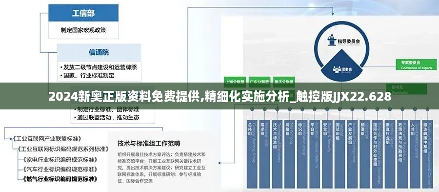 2024新奥正版资料免费提供,精细化实施分析_触控版JJX22.628