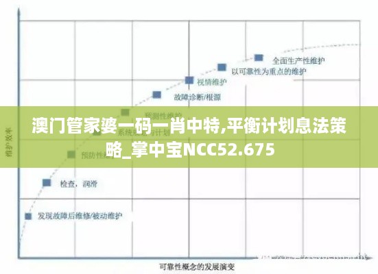 澳门管家婆一码一肖中特,平衡计划息法策略_掌中宝NCC52.675