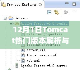 Tomcat热门版本解析与应用指南（12月版）