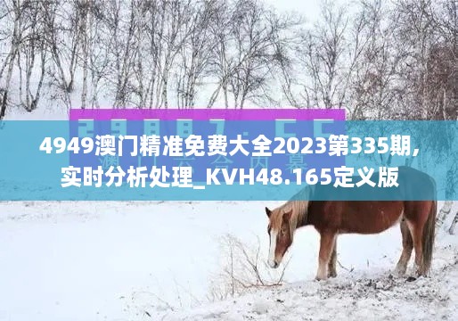 4949澳门精准免费大全2023第335期,实时分析处理_KVH48.165定义版