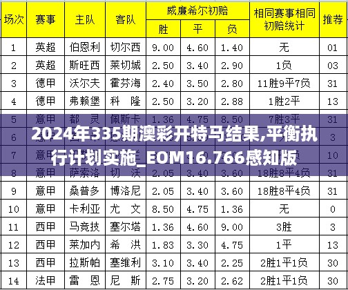 2024年335期澳彩开特马结果,平衡执行计划实施_EOM16.766感知版