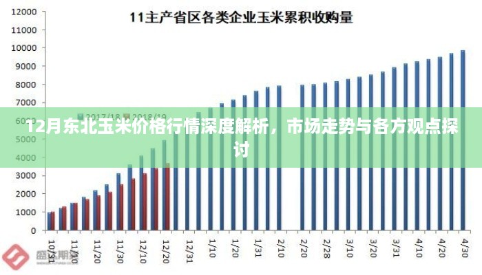 东北玉米市场深度解析，行情走势与各方观点探讨（深度报告）