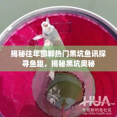 揭秘邯郸黑坑鱼趣，探寻热门黑坑奥秘与鱼讯揭秘