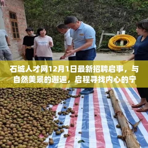 石城人才网最新招聘启事，与自然美景相遇，寻找内心的宁静之旅