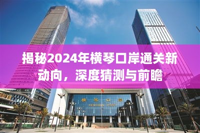 2024年12月1日 第12页