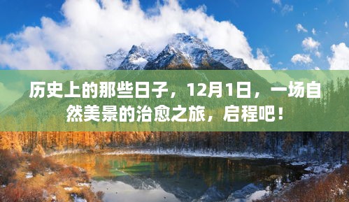 12月1日，自然美景的治愈之旅启程记