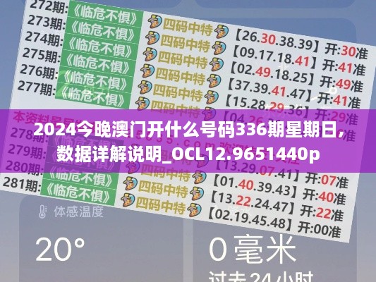 2024年12月1日 第7页