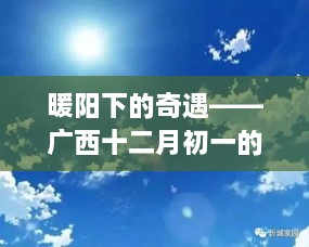 广西十二月初一暖阳下的奇遇，天气预报与友情交织的故事