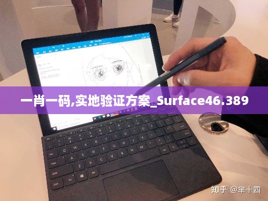 一肖一码,实地验证方案_Surface46.389