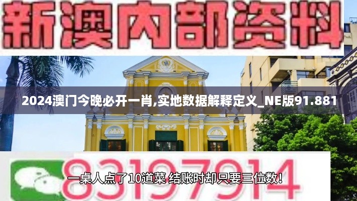 2024澳门今晚必开一肖,实地数据解释定义_NE版91.881