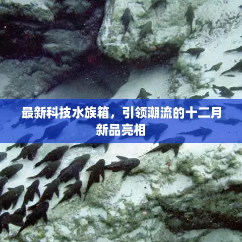 最新科技水族箱引领潮流，十二月新品惊艳亮相