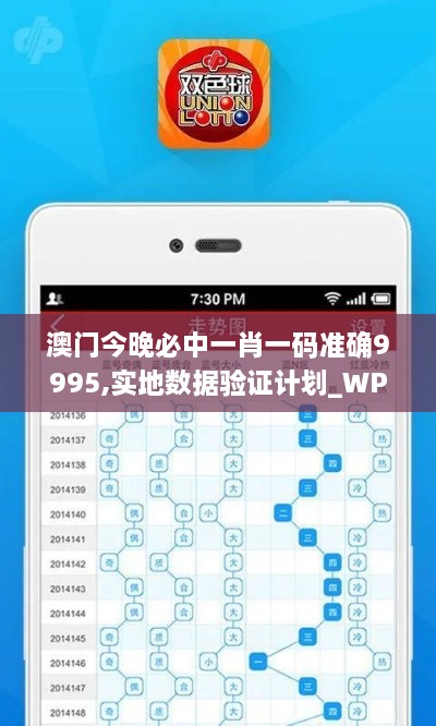 澳门今晚必中一肖一码准确9995,实地数据验证计划_WP版64.418