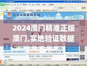 2024澳门精准正版澳门,实地验证数据策略_MP49.188