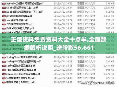 正版资料免费资料大全十点半,全面数据解析说明_进阶款56.661