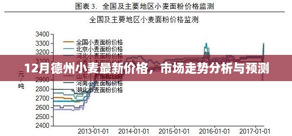 德州小麦12月最新价格走势分析及市场预测