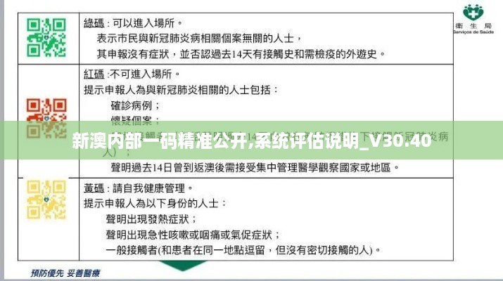 新澳内部一码精准公开,系统评估说明_V30.40