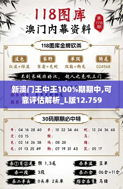 新澳门王中王100%期期中,可靠评估解析_L版12.759