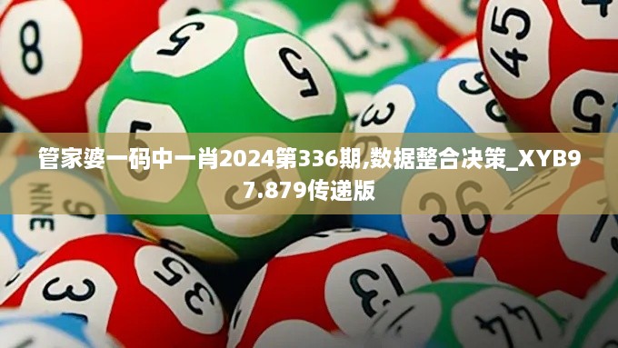 管家婆一码中一肖2024第336期,数据整合决策_XYB97.879传递版