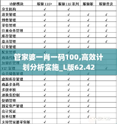 管家婆一肖一码100,高效计划分析实施_L版62.42