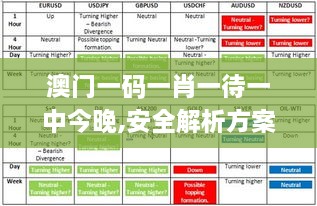 澳门一码一肖一待一中今晚,安全解析方案_苹果49.700