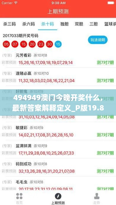 494949澳门今晚开奖什么,最新答案解释定义_P版19.89