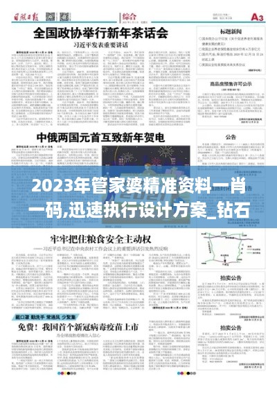 2023年管家婆精准资料一肖一码,迅速执行设计方案_钻石版74.396