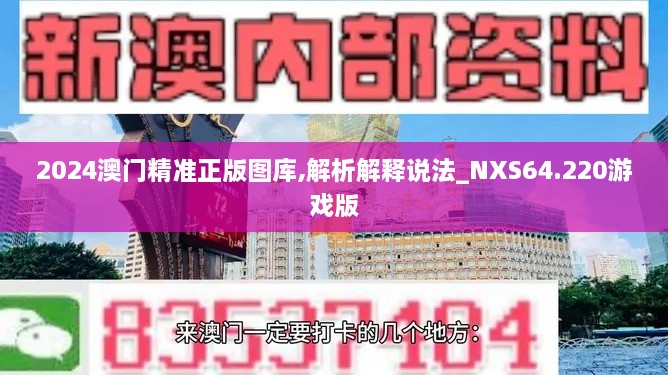 2024澳门精准正版图库,解析解释说法_NXS64.220游戏版