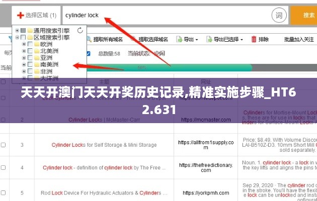 天天开澳门天天开奖历史记录,精准实施步骤_HT62.631