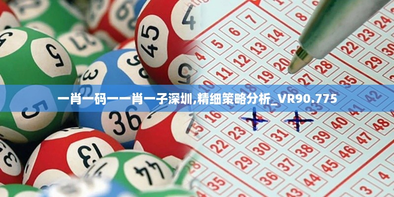 一肖一码一一肖一子深圳,精细策略分析_VR90.775