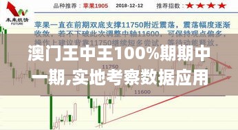 澳门王中王100%期期中一期,实地考察数据应用_挑战款90.588