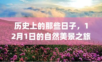 12月1日历史自然美景之旅与心灵泡妞技巧回顾