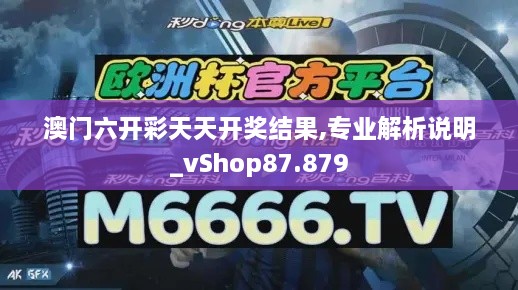 澳门六开彩天天开奖结果,专业解析说明_vShop87.879