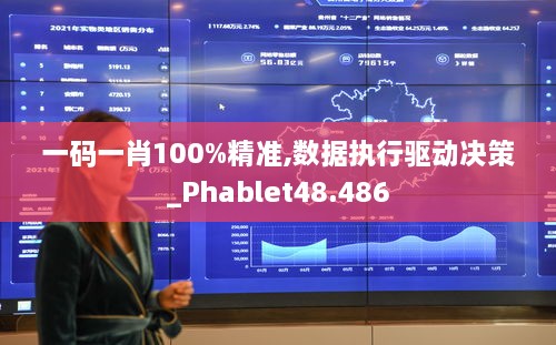 一码一肖100%精准,数据执行驱动决策_Phablet48.486